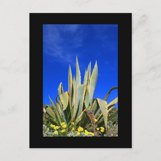 Pflanze Postkarte (Vorderseite)