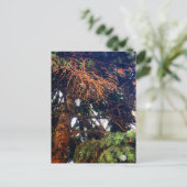 Pflanze Postkarte (Stehend Vorderseite)