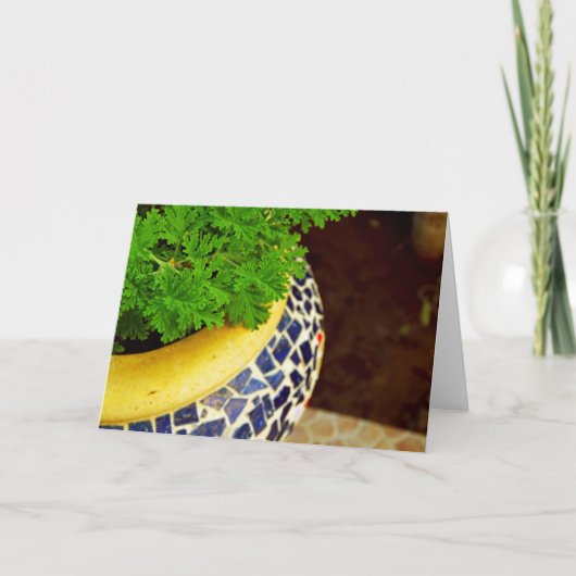 Pflanze Pot Feiertagskarte (Vorderseite)