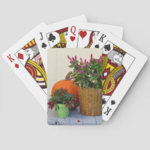 Pflanze Pumpkin und Pepper - Martha's Vineyard