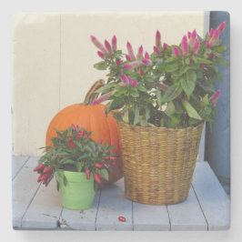 Pflanze Pumpkin und Pepper - Martha's Vineyard Steinuntersetzer