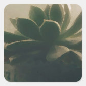 Pflanze Quadratischer Aufkleber (Vorderseite)