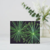 Pflanze Sedge Fireworks Postkarte (Stehend Vorderseite)