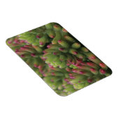 Pflanze Sedum, Wüstenmuseum Arizona-Sonora, Magnet (Rechte Seite)