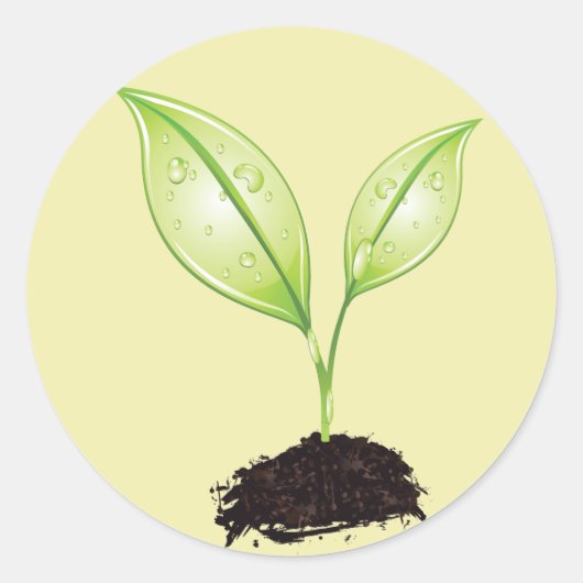 Pflanze ~ Seedling Green Earth Leaf & Root Seed Runder Aufkleber (Vorderseite)
