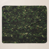 Pflanze Sherpadecke (Vorderseite (Horizontal))