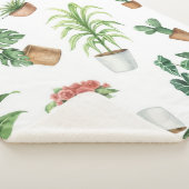 Pflanze Sherpadecke (3/4)