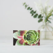 Pflanze Sitter Pflanze Visitenkarte (Stehend Vorderseite)