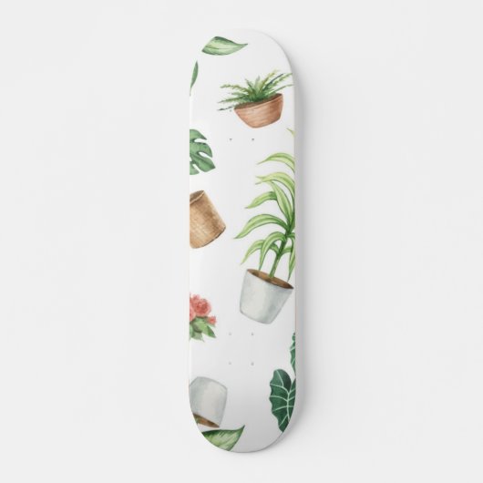 Pflanze Skateboard (Vorne)