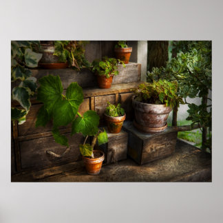 Pflanze - Sommerfrische Poster