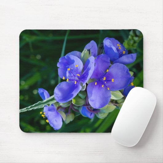 Pflanze Spiderwort im Vollblut Mousepad (Mit Mouse)