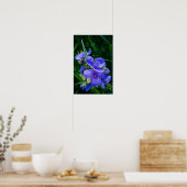 Pflanze Spiderwort im Vollblut Poster (Küche)