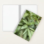 Pflanze Spiral Sketchbook Notizblock (Innen)