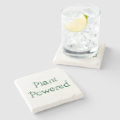 Pflanze Steinuntersetzer (Seitenansicht)