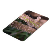 Pflanze Stem Thorns Naturpark Fotografie Magnet (Linke Seite)