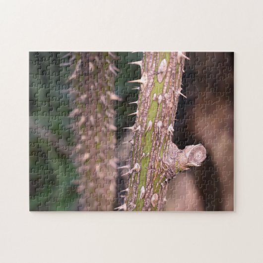 Pflanze Stem Thorns Naturpark Fotografie Puzzle (Horizontal)