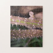 Pflanze Stem Thorns Naturpark Fotografie Puzzle (Vertikal)