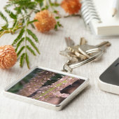 Pflanze Stem Thorns Naturpark Fotografie Schlüsselanhänger (Seite)