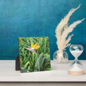 Pflanze (Strelitzia) Fotoplatte (InSitu)