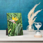 Pflanze (Strelitzia) Fotoplatte (Seite)