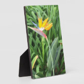 Pflanze (Strelitzia) Fotoplatte (Seite)