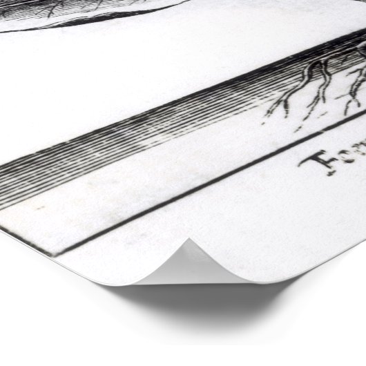 Pflanze Tabak, 1622 Poster (Ecke)