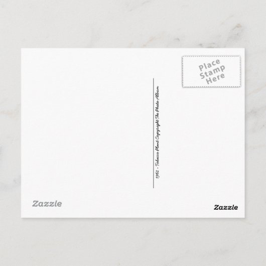Pflanze Tabak Postkarte (Rückseite)