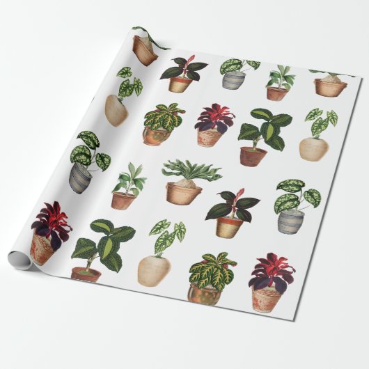 Pflanze Terracotta Pots Muster Geschenkpapier (Ungerollt)