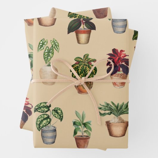 Pflanze Terracotta Pots Muster Geschenkpapier Set (Beispiel)