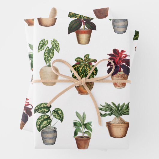 Pflanze Terracotta Pots Muster Geschenkpapier Set (Beispiel)