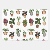 Pflanze Terracotta Pots Muster Geschenkpapier Set (Vorderseite)