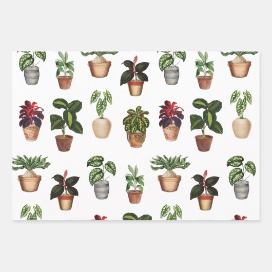 Pflanze Terracotta Pots Muster Geschenkpapier Set (Vorderseite)