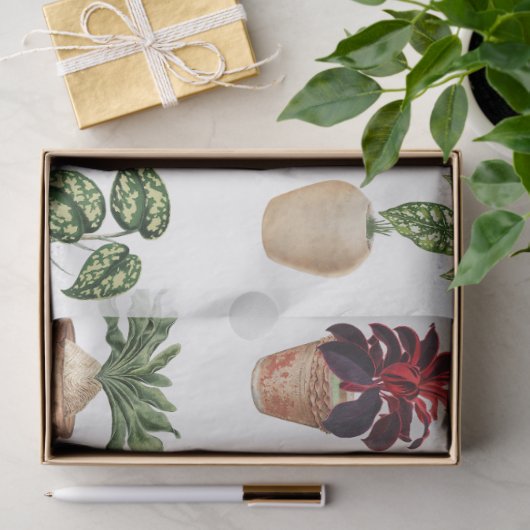 Pflanze Terracotta Pots Muster Seidenpapier (Geschenk)