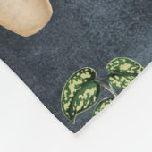 Pflanze Terracotta Pots Rustikal Fleecedecke (Ecke)