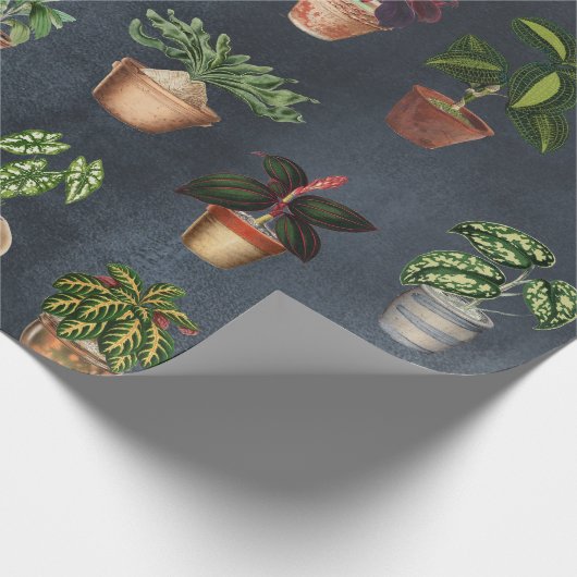 Pflanze Terracotta Pots Rustikal Geschenkpapier (Ecke)