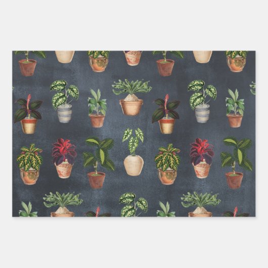 Pflanze Terracotta Pots Rustikal Geschenkpapier Set (Vorderseite 3)