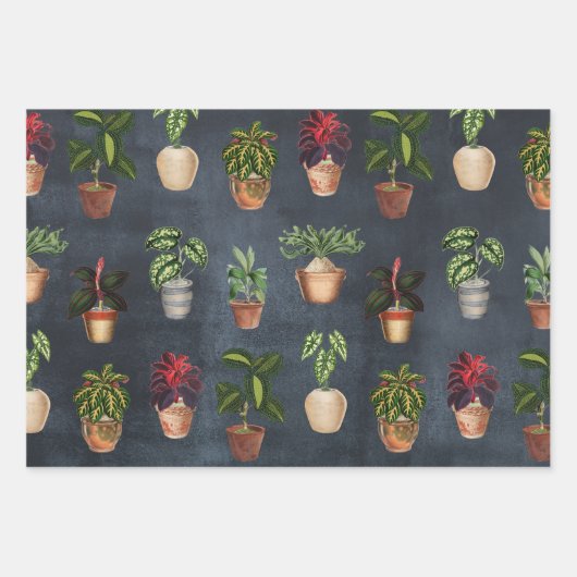 Pflanze Terracotta Pots Rustikal Geschenkpapier Set (Vorderseite 2)