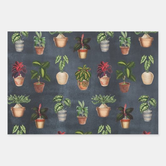 Pflanze Terracotta Pots Rustikal Geschenkpapier Set (Vorderseite)