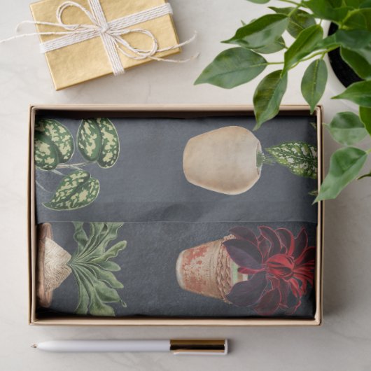 Pflanze Terracotta Pots Rustikal Seidenpapier (Geschenk)