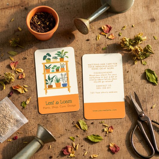 Pflanze Terracotta Unterkunft Shelf Visitenkarte