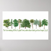 Pflanze Tree Lover, Hugger Poster (Vorne)