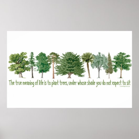 Pflanze Tree Lover, Hugger Poster (Vorne)