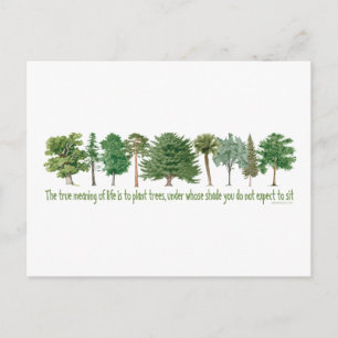 Pflanze Tree Lover, Hugger Postkarte