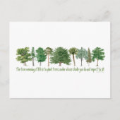 Pflanze Tree Lover, Hugger Postkarte (Vorderseite)