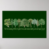 Pflanze Trees Poster (Vorne)
