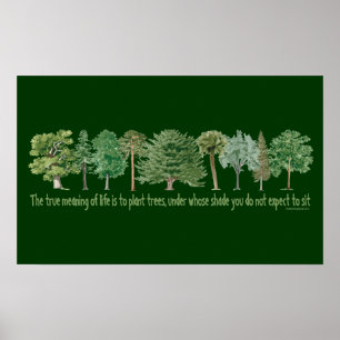 Pflanze Trees Poster