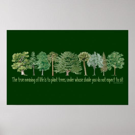 Pflanze Trees Poster (Vorne)
