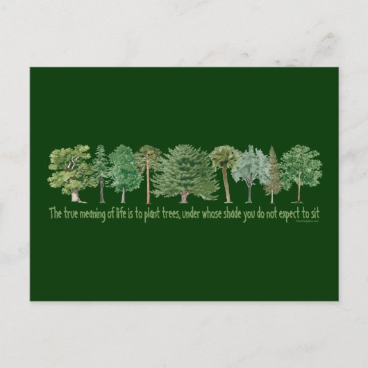 Pflanze Trees Postkarte (Vorderseite)