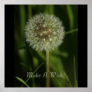 Pflanze und Wasserbildnis Poster