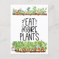 Pflanze Veggie Gemüse Vegetarier